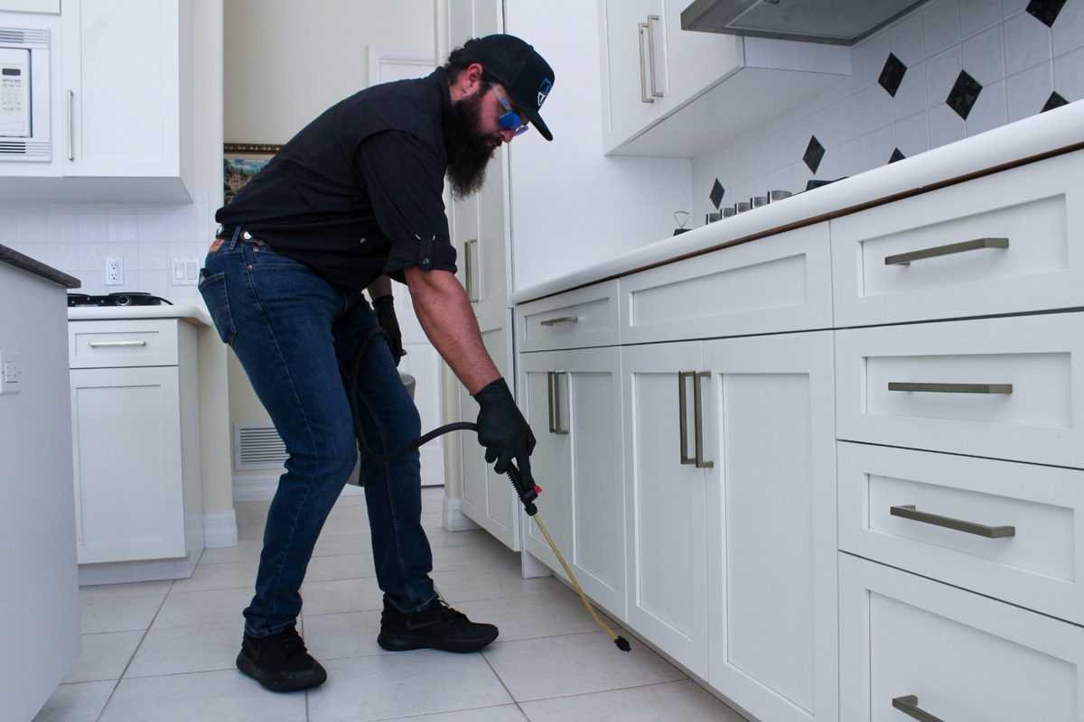Tier 1 Pest Solutions technician treating kitchen cabinets